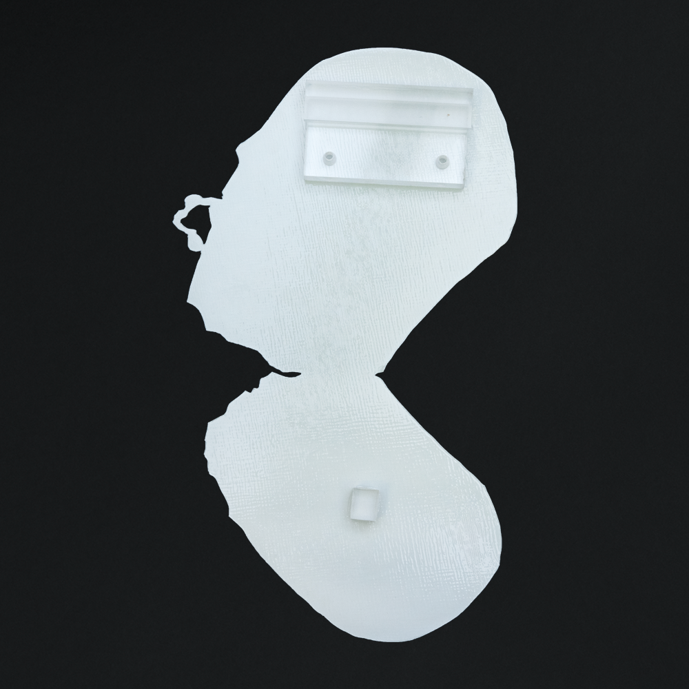 99 UNITS ONLY - ACRYLIC MOLD SKAM2? PILL WITH EMINEM-AUTOGRAPHED COA